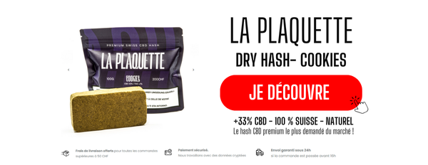 DRY HASH CBD