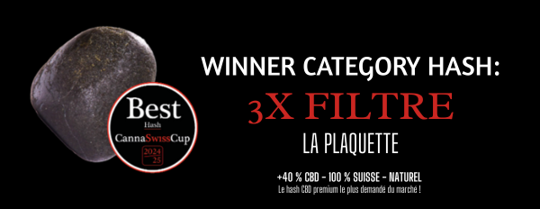 meilleur HASH 3X FILTRE