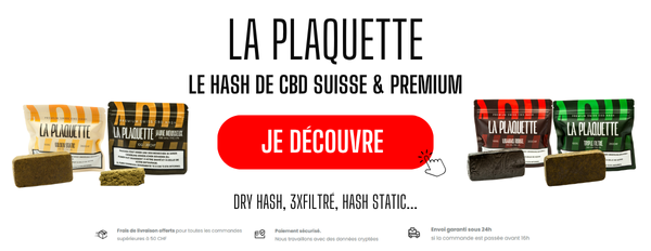 HASH CBD SUISSE