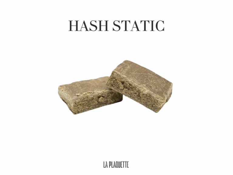 Static Hash, c'est quoi ? Le guide complet d'un hash-maker
