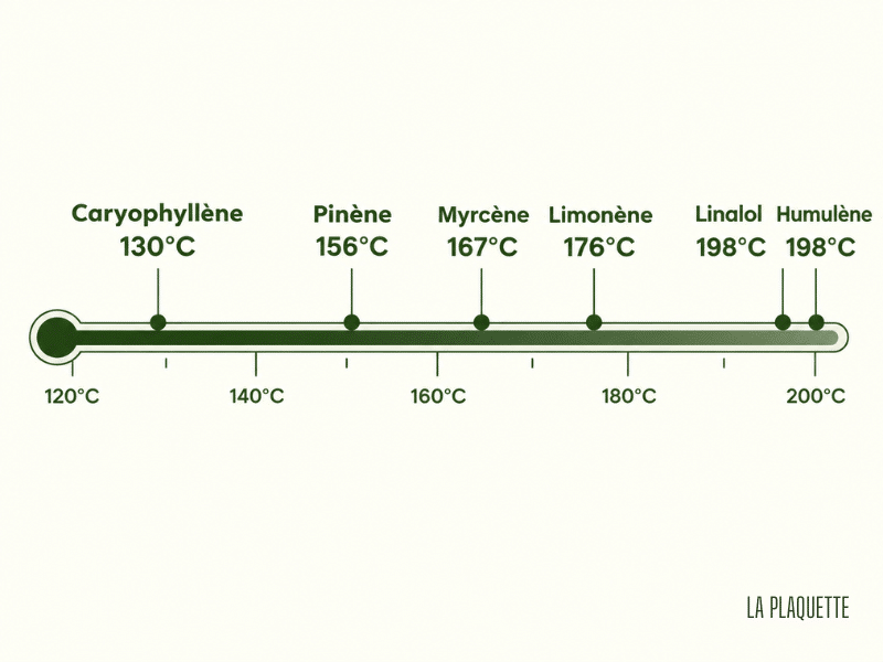 Points d'ébullition des terpènes du hash CBD