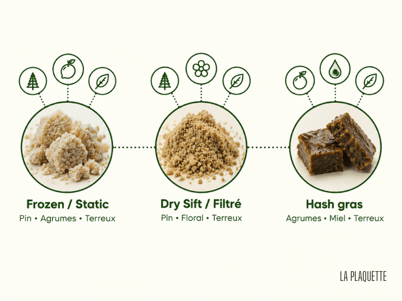 Profil aromatique par texture de hash CBD