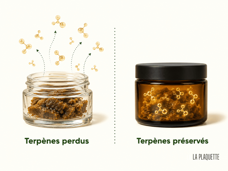 conservation terpènes du hash CBD