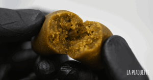 hash cbd gras suisse
