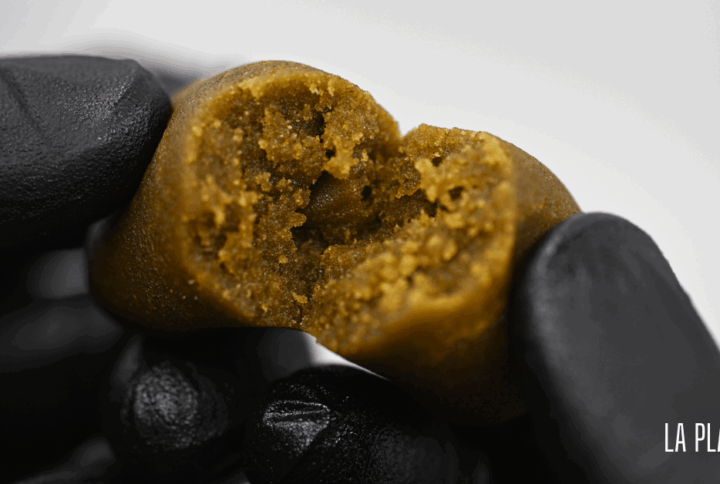 Piatella Hash : Un hash-maker nous dévoile ses secrets de fabrication !