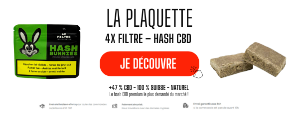 hash 4x filtre