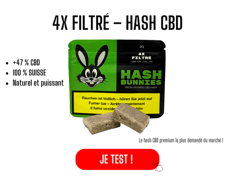 hash de cbd 4x filtre