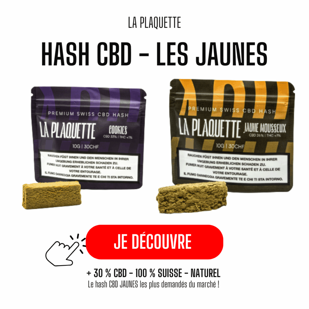 hash jaune cbd