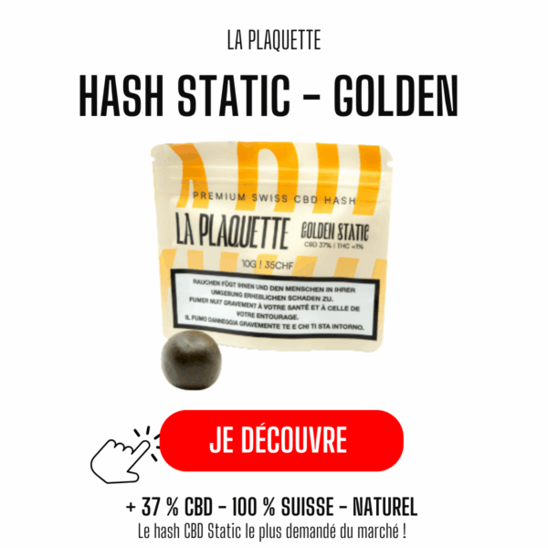 Static Hash, c'est quoi ? Le guide complet d'un hash-maker